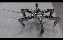 Asterisk - Omni-directional Insect Robot Picks Up Prey #DigInfo