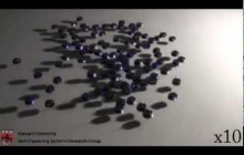 100 Kilobots Robotic Swarm - Swarm Moves Towards a light Source at Harward